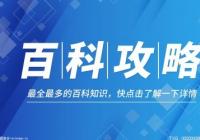 花青素的功效与作用有哪些？花青素的功效是什么？