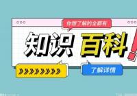那些在网上买手机号是哪里的货源？网上买手机号和营业厅一样吗？